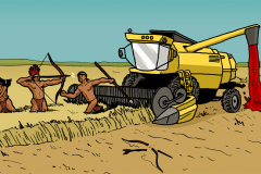 03-11-2015-Agromassacre